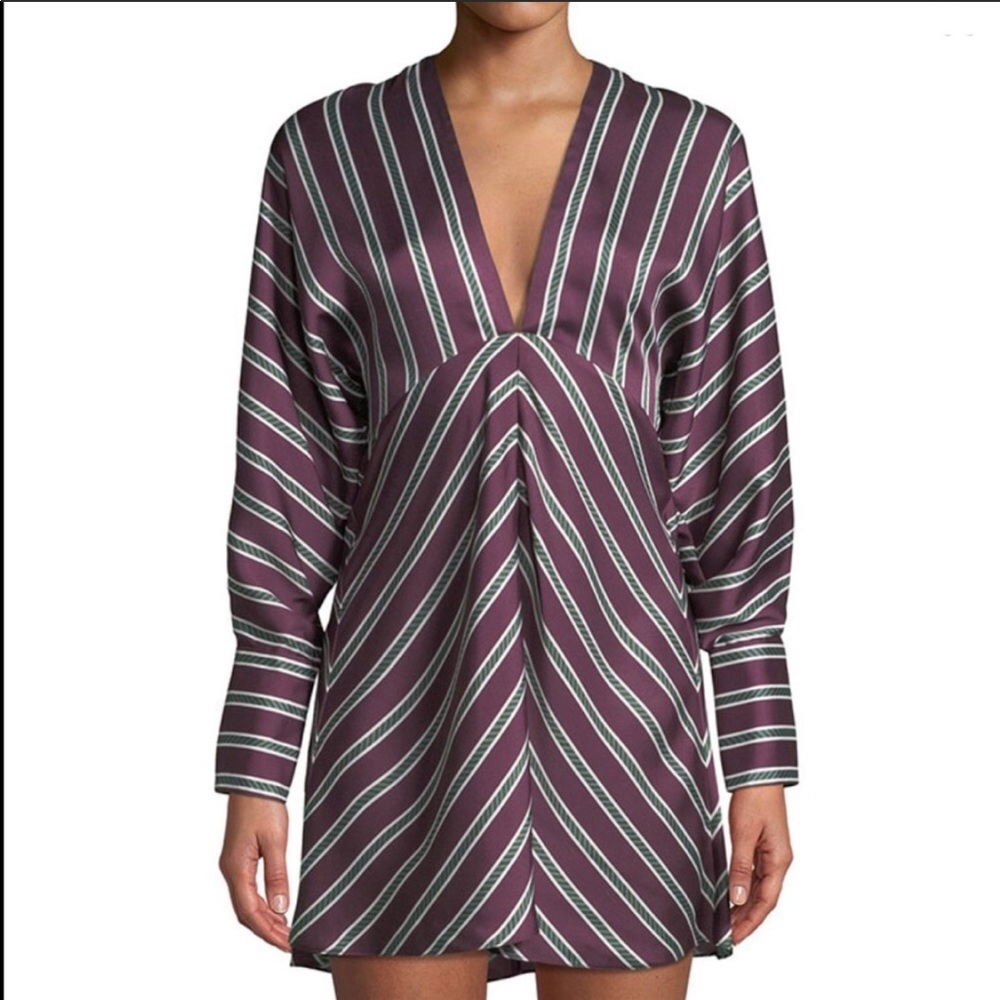 Alexis Tena Dress View 2
